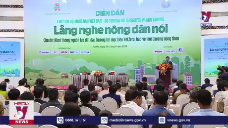 Bản tin thời sự 17h ngày 24/11/2024