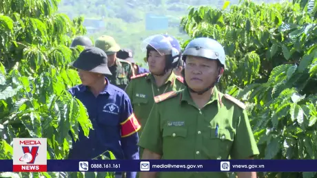 Gia Lai phòng ngừa trộm cắp cà phê giữa “cơn sốt giá’’