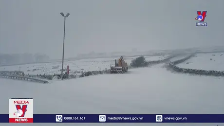 Bão lớn gây nhiều thiệt hại ở Anh và Ireland