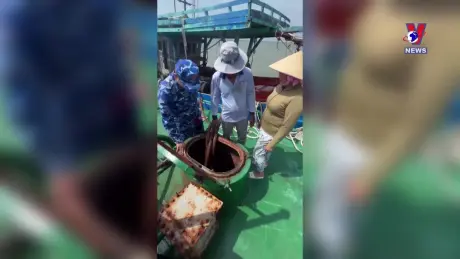 Đường dây nóng 389 ngày 25/11/2024