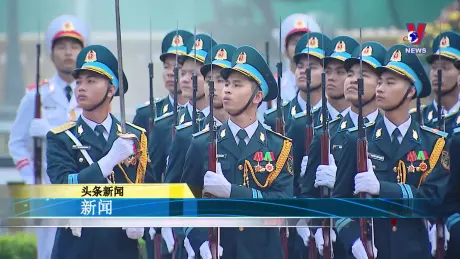 越通社新闻 25/11/2024