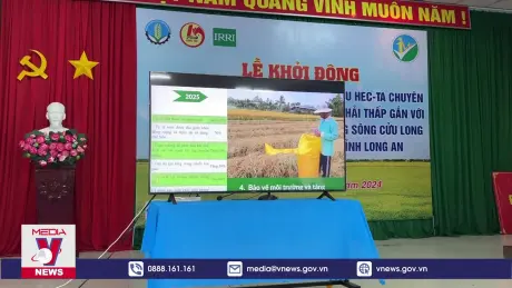 Long An khởi động đề án một triệu héc-ta chuyên canh lúa chất lượng cao