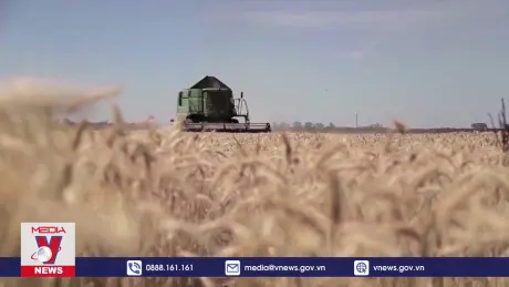 Nga duy trì vị thế xuất khẩu nông sản hàng đầu thế giới