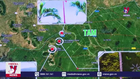 Bản tin thời sự 13h ngày 26/11/2024