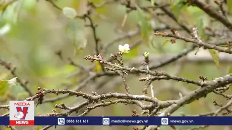 Hành trình cùng đồng bào vùng biên vượt khó