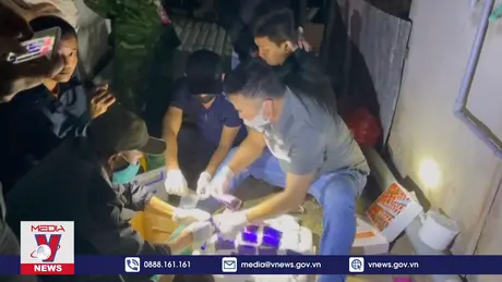 Khởi tố vụ án tàng trữ 1kg ma tuý đá và gần 4.800 viên ma tuý 