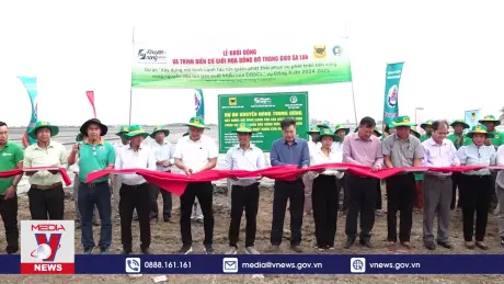 Bàn giải pháp mở rộng vùng chuyên canh lúa chất lượng cao vùng ĐBSCL