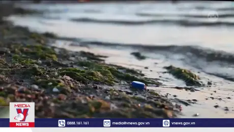 Khủng hoảng sinh thái tại hồ nước mặn lớn nhất thế giới