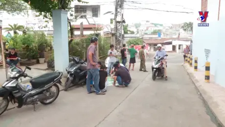 Đường dây nóng 389 ngày 26/11/2024