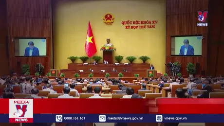 Bản tin thời sự 11h ngày 26/11/2024