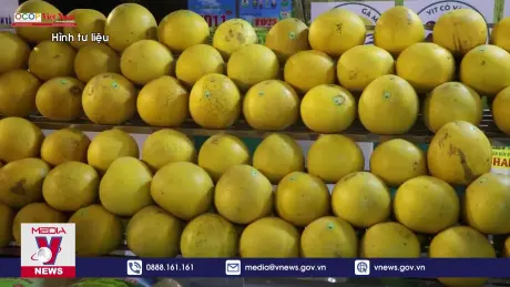 Festival sản phẩm nông nghiệp và làng nghề Hà Nội khai mạc ngày 29/11