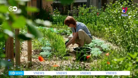 Tạp chí toàn cầu ngày 27/11/2024