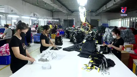 Nhật trình kinh tế ngày 28/11/2024