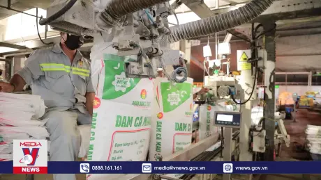 Bảo vệ môi trường - Cam kết bền vững từ Đạm Cà Mau