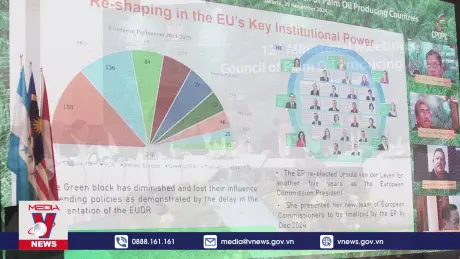 Thúc đẩy tính bền vững của ngành dầu cọ