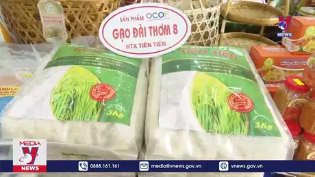 Bạc Liêu kết nối cung – cầu sản phẩm OCOP