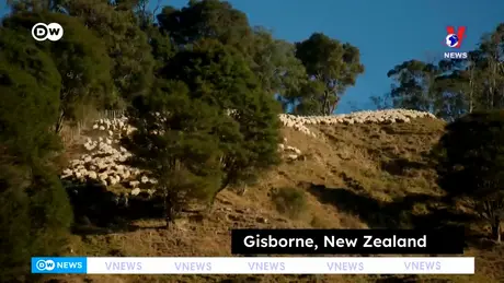 Tạp chí toàn cầu ngày 29/11/2024