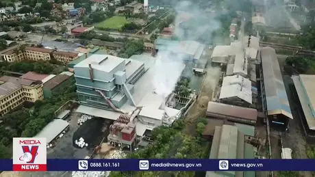 Không thể chậm chân trên thị trường tín chỉ carbon