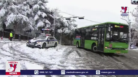 Bão tuyết bất thường tại Hàn Quốc