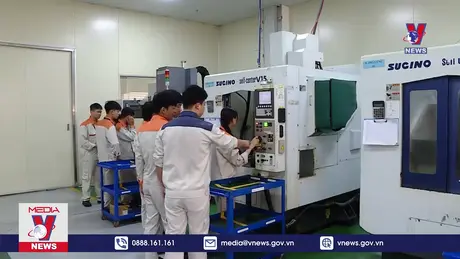 Bản tin thời sự 11h ngày 29/11/2024