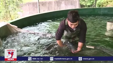Phát triển bền vững nghề nuôi cá nước lạnh