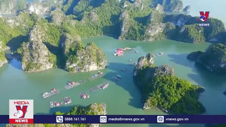 Bản tin thời sự 6h ngày 30/11/2024