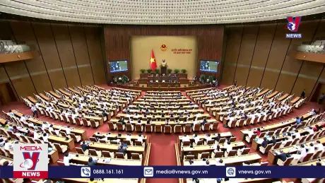 Bản tin Thời sự 8h ngày 30/11/2024