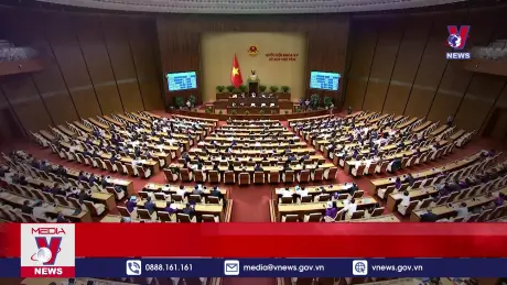 Bản tin Thời sự 11h ngày 30/11/2024