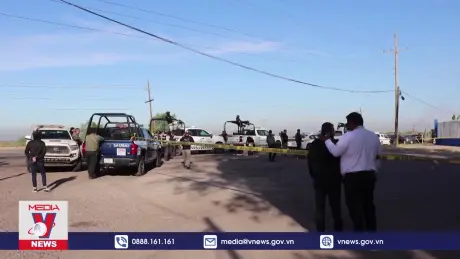 Bạo lực băng đảng gia tăng ở miền Bắc Mexico