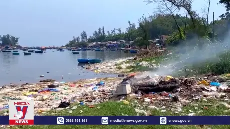 Bảo vệ môi trường ven biển