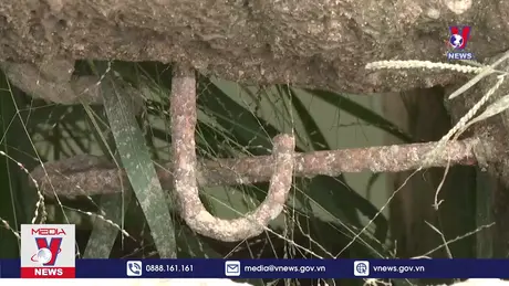 Bản tin thời sự 20h ngày 01/12/2024