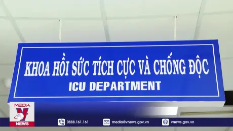 Mẫu thử bánh mì nhiễm khuẩn Salmonella tại Vũng Tàu