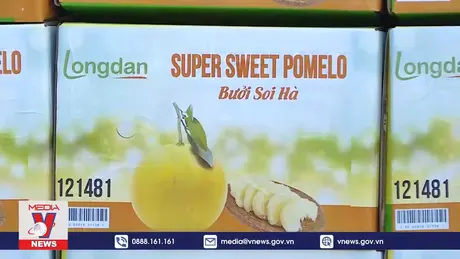 Triển vọng xuất khẩu nông sản Tuyên Quang sang thị trường châu Âu