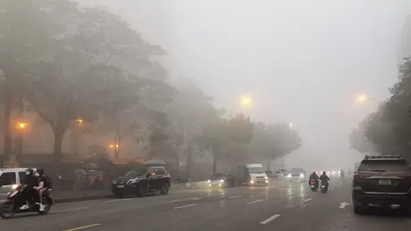 Thời tiết ngày 1/12: Bắc Bộ và Bắc Trung Bộ sáng sớm có sương mù