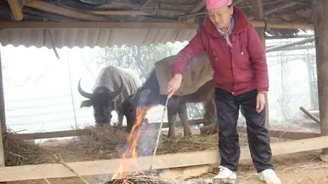 Thời tiết ngày 2/12: Vùng núi Bắc Bộ trời rét, có nơi dưới 16 độ C