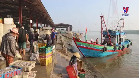 Đường dây nóng 389 ngày 02/12/2024