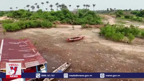 Thế giới bị suy thoái 1 triệu km2 đất/năm