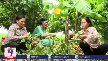 Nâng cao giá trị nông sản xuất khẩu nhờ Chỉ dẫn địa lý