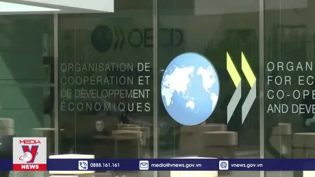OECD cảnh báo về chủ nghĩa bảo hộ thương mại