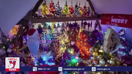 Kỷ lục trang trí hơn 605 cây thông đón Giáng sinh