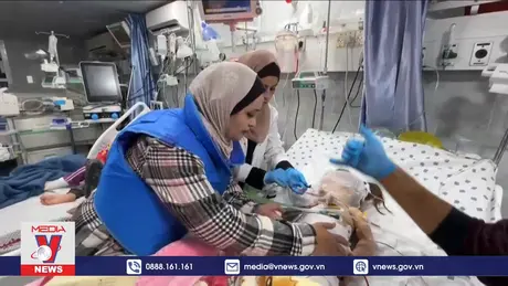 Kêu gọi mở hành lang sơ tán bệnh nhân Gaza