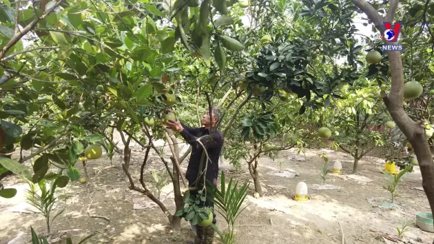 Hộp thư VNews: Sau 10 năm bỗng dưng bị thu hồi Giấy chứng nhận quyền sử dụng đất