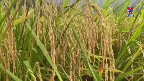 Khoa học và Công nghệ ngày 05/12/2024