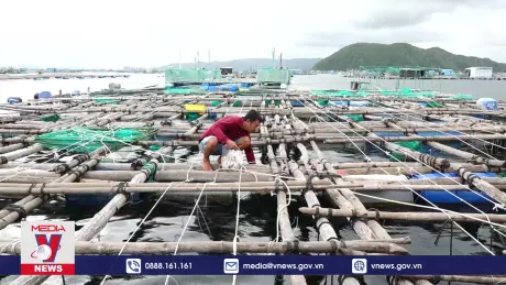 Phú Yên thu gom rác thải trong nuôi trồng thủy sản 