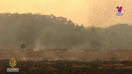 Tương Lai Xanh ngày 05/12/2024