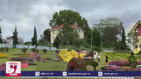 Phố núi Đà Lạt sẵn sàng cho ngày khai hội Festival hoa