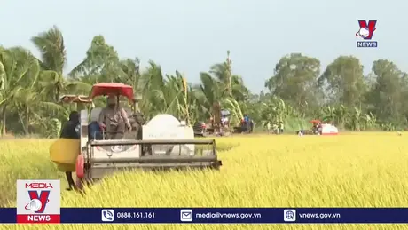 Việt Nam giữ vững vị thế dẫn đầu thị trường xuất khẩu gạo