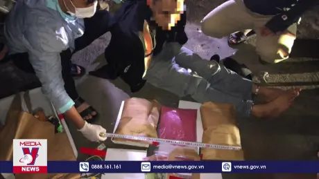 Quảng Trị bắt vụ vận chuyển 15.400 viên ma tuý tổng hợp