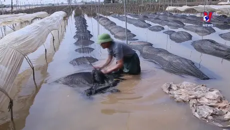 Nỗ lực chống tái nghèo sau thiên tai