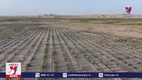 Bản tin thời sự 17h ngày 06/12/2024